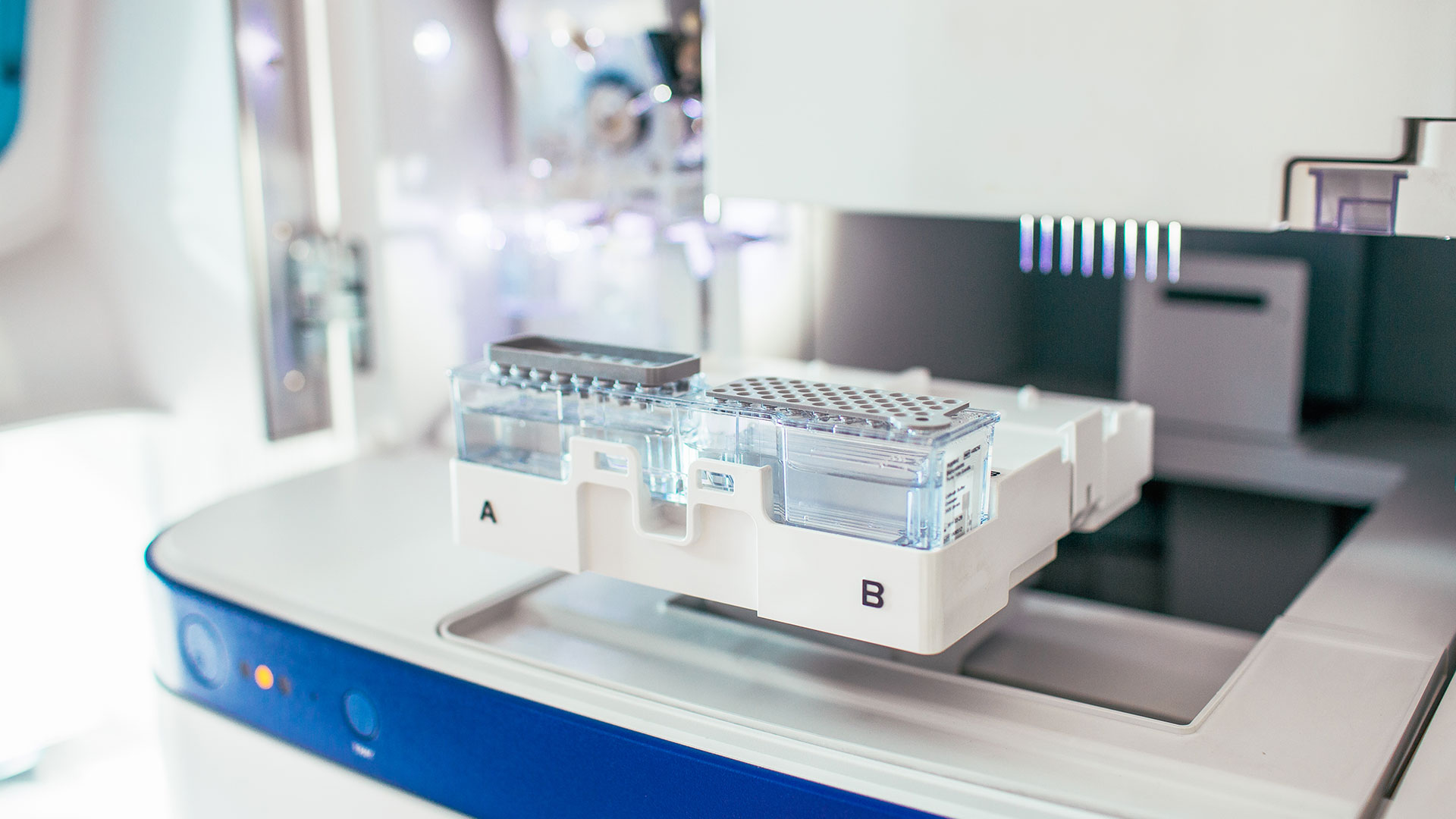 Accelerating HHV Therapeutics from Discovery to Pre-clinical