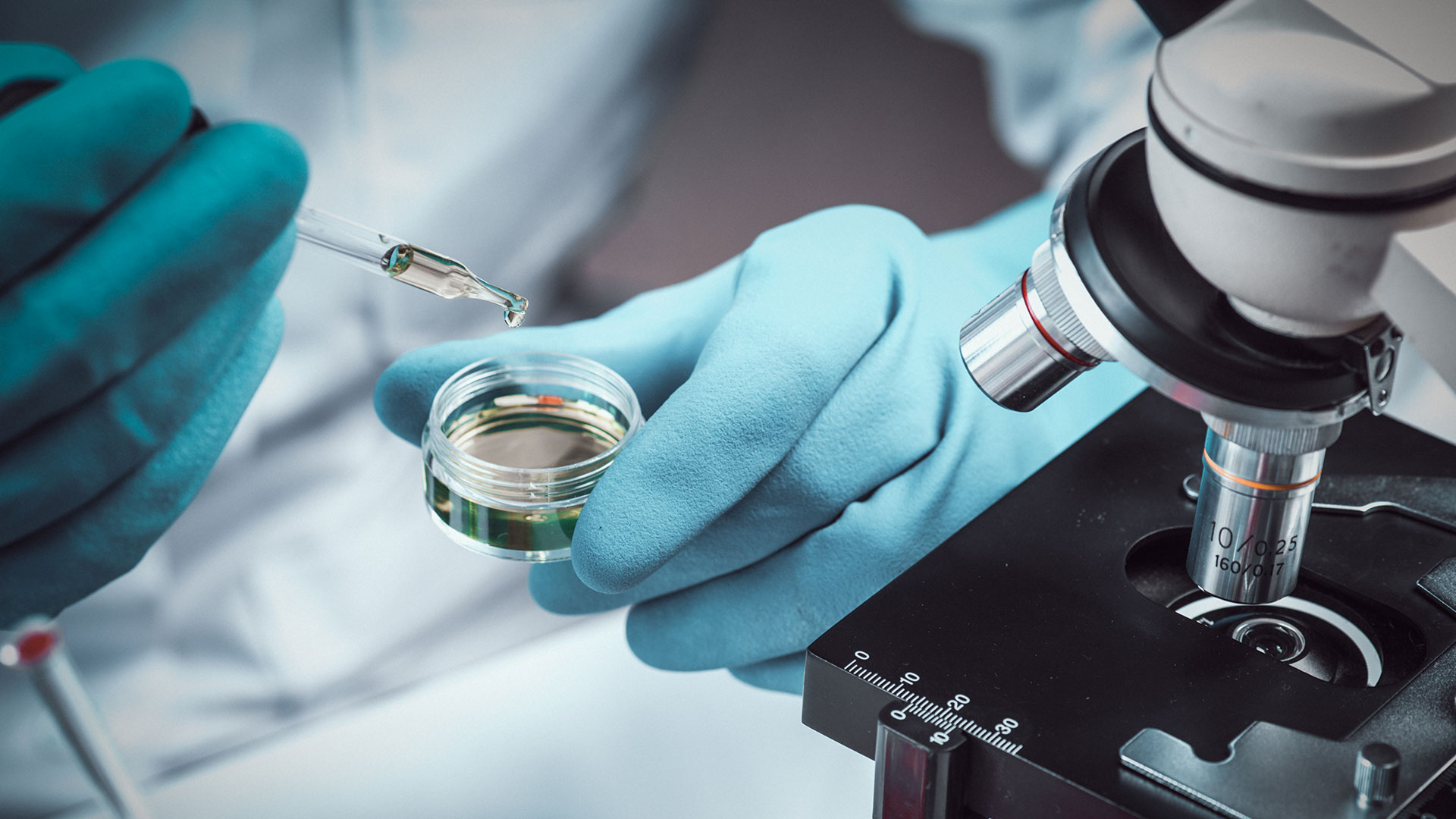 Explore Our Comprehensive Services